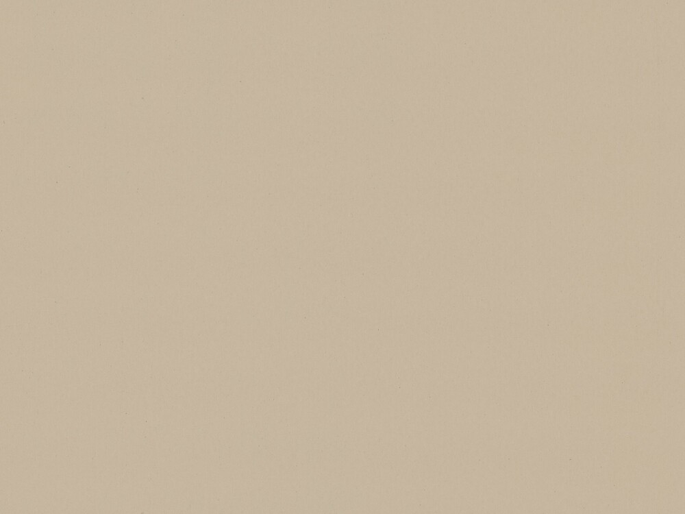 Linoleum-Oberfläche in Macadamia – feine, matte Textur in hellem Beige, gezeigt als Materialdetail einer Tischplatte von Faust.