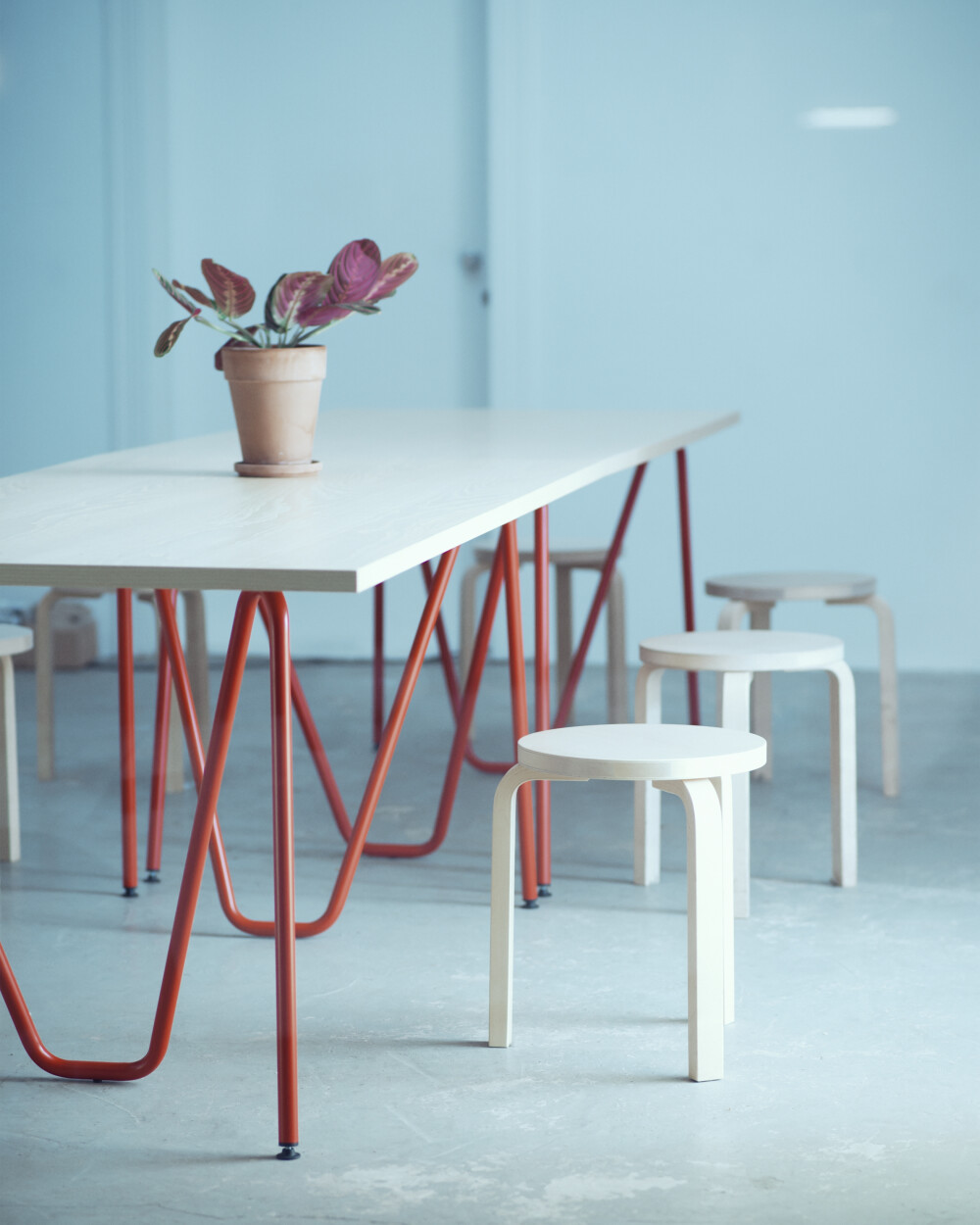 Long table with light oak top on sinus table trestles in blood orange, combined with simple wooden chairs.